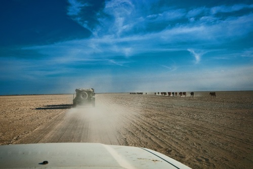 Elephant Sands 004